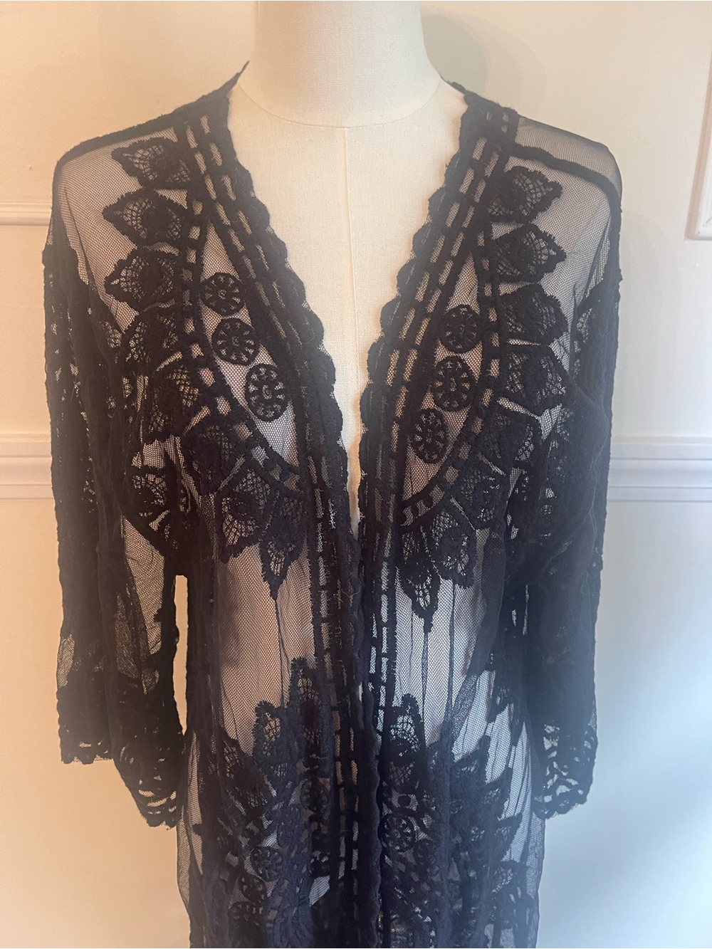 Rachel Zoe Black Sheer Lace Maxi Swim Cover-Up